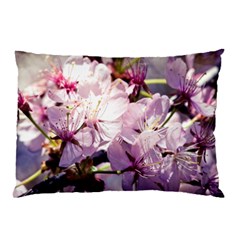 Sakura In The Shade Pillow Case (two Sides) by FunnyCow