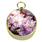 Sakura In The Shade Gold Compasses Front