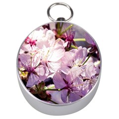 Sakura In The Shade Silver Compasses by FunnyCow