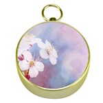 Pink Mist Of Sakura Gold Compasses Front