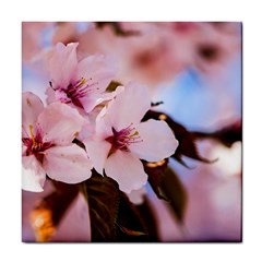 Three Sakura Flowers Tile Coasters by FunnyCow