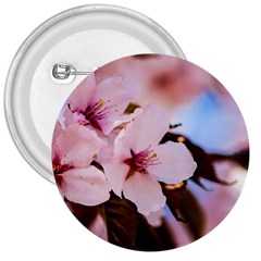 Three Sakura Flowers 3  Buttons by FunnyCow