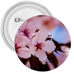 Three Sakura Flowers 3  Buttons Front