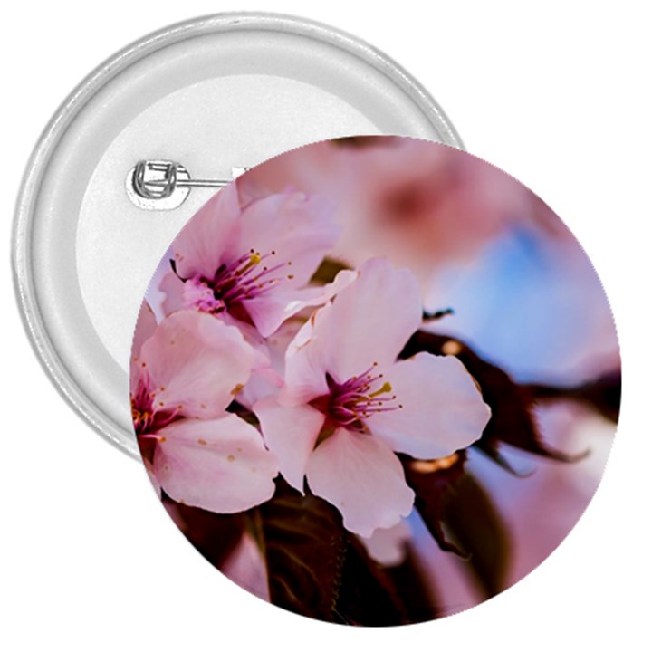 Three Sakura Flowers 3  Buttons