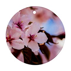 Three Sakura Flowers Ornament (round) by FunnyCow