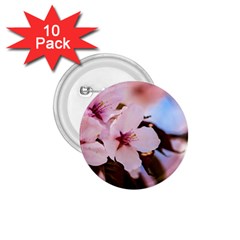 Three Sakura Flowers 1 75  Buttons (10 Pack) by FunnyCow