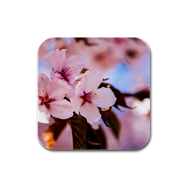 Three Sakura Flowers Rubber Square Coaster (4 pack) 