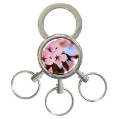 Three Sakura Flowers 3-ring Key Chains by FunnyCow