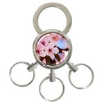 Three Sakura Flowers 3-Ring Key Chains Front