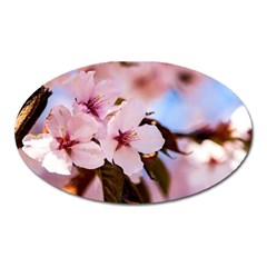 Three Sakura Flowers Oval Magnet by FunnyCow