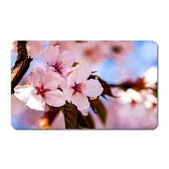 Three Sakura Flowers Magnet (rectangular) by FunnyCow