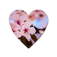 Three Sakura Flowers Heart Magnet by FunnyCow