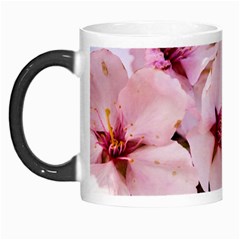 Three Sakura Flowers Morph Mugs by FunnyCow