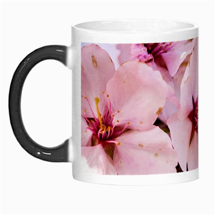 Three Sakura Flowers Morph Mugs