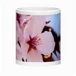 Three Sakura Flowers Morph Mugs Center