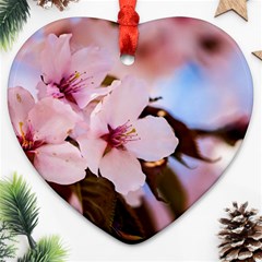 Three Sakura Flowers Heart Ornament (two Sides) by FunnyCow