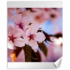 Three Sakura Flowers Canvas 16  X 20   by FunnyCow