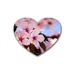 Three Sakura Flowers Rubber Coaster (heart)  by FunnyCow