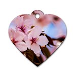 Three Sakura Flowers Dog Tag Heart (Two Sides) Front