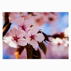 Three Sakura Flowers Large Glasses Cloth by FunnyCow