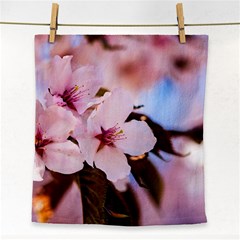 Three Sakura Flowers Face Towel by FunnyCow