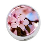 Three Sakura Flowers 4-Port USB Hub (Two Sides) Front