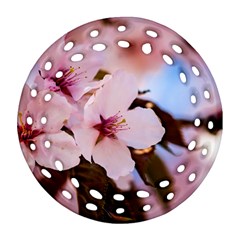 Three Sakura Flowers Ornament (round Filigree) by FunnyCow