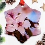 Three Sakura Flowers Snowflake Ornament (Two Sides) Front