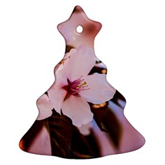 Three Sakura Flowers Christmas Tree Ornament (two Sides) by FunnyCow