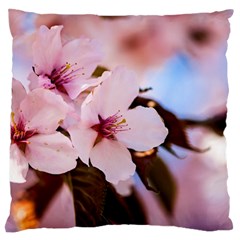 Three Sakura Flowers Large Cushion Case (two Sides) by FunnyCow