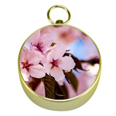 Three Sakura Flowers Gold Compasses by FunnyCow