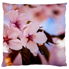 Three Sakura Flowers Standard Flano Cushion Case (two Sides) by FunnyCow