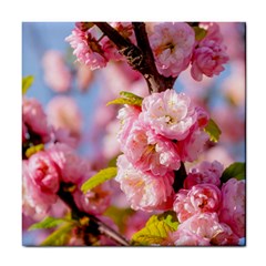 Flowering Almond Flowersg Tile Coasters by FunnyCow