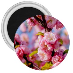 Flowering Almond Flowersg 3  Magnets by FunnyCow