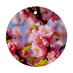 Flowering Almond Flowersg Ornament (round) by FunnyCow