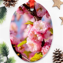 Flowering Almond Flowersg Ornament (oval) by FunnyCow