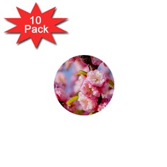 Flowering Almond Flowersg 1  Mini Buttons (10 Pack)  by FunnyCow