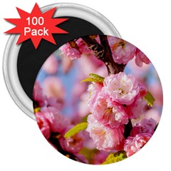 Flowering Almond Flowersg 3  Magnets (100 Pack) by FunnyCow