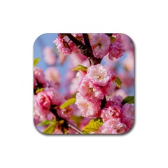 Flowering Almond Flowersg Rubber Coaster (square) 