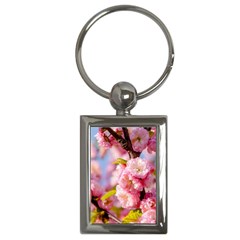 Flowering Almond Flowersg Key Chains (rectangle)  by FunnyCow