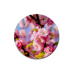 Flowering Almond Flowersg Rubber Round Coaster (4 Pack)  by FunnyCow