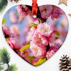 Flowering Almond Flowersg Heart Ornament (two Sides) by FunnyCow