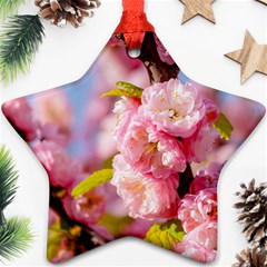 Flowering Almond Flowersg Star Ornament (two Sides) by FunnyCow