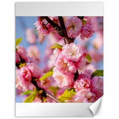 Flowering Almond Flowersg Canvas 18  X 24   by FunnyCow