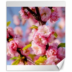 Flowering Almond Flowersg Canvas 20  X 24   by FunnyCow