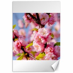 Flowering Almond Flowersg Canvas 20  X 30   by FunnyCow