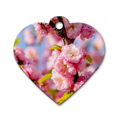 Flowering Almond Flowersg Dog Tag Heart (two Sides) by FunnyCow