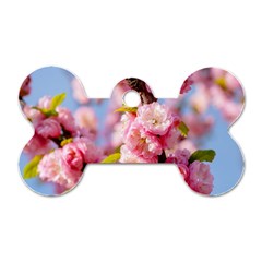 Flowering Almond Flowersg Dog Tag Bone (two Sides) by FunnyCow