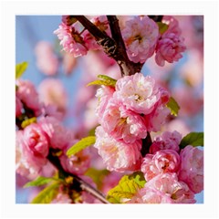 Flowering Almond Flowersg Medium Glasses Cloth (2-side) by FunnyCow