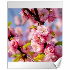 Flowering Almond Flowersg Canvas 11  X 14   by FunnyCow